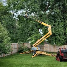 Landscape Design and Installation in Germantown, TN